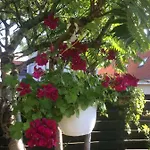 Appartement Spikergade 6 Tønder