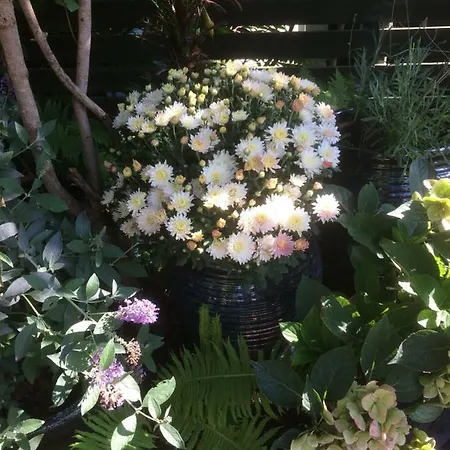 Spikergade 6 アパート トゥナー