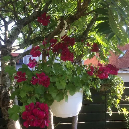 Apartamento Spikergade 6 Tønder