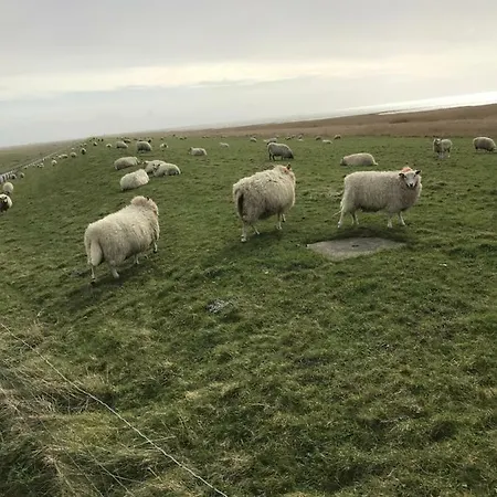 Apartamento Spikergade 6 *