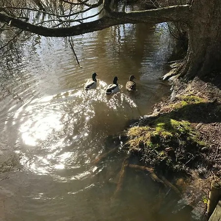 Spikergade 6 * トゥナー