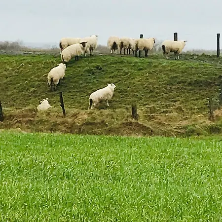 Apartamento Spikergade 6 *