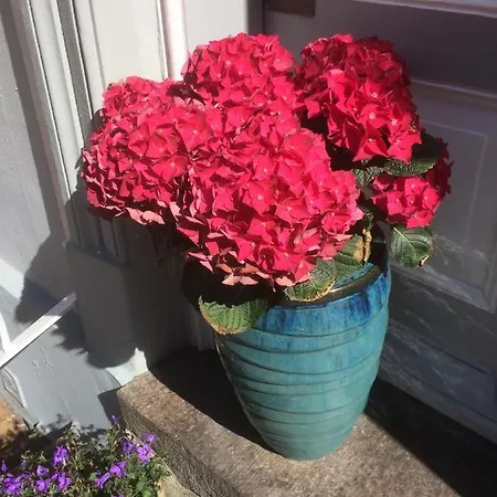 Spikergade 6 アパート *