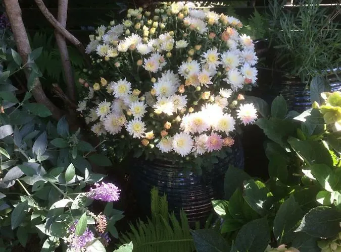 Spikergade 6 Apartamento Tønder