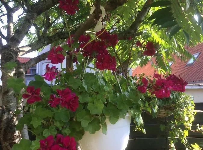 Apartamento Spikergade 6 Tønder