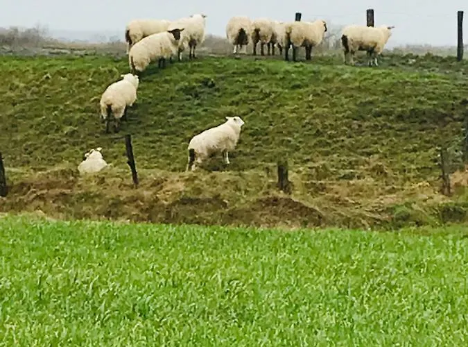 Apartamento Spikergade 6 *